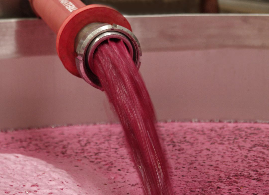 Elaboración del vino Elaboración del vino