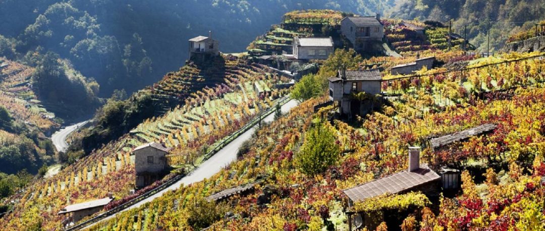 Aberto o prazo para inscribirse na marcha cicloturista ´´Clásica A Ribeira Sacra´´ Aberto o prazo para inscribirse na marcha cicloturista ´´Clásica A Ribeira Sacra´´