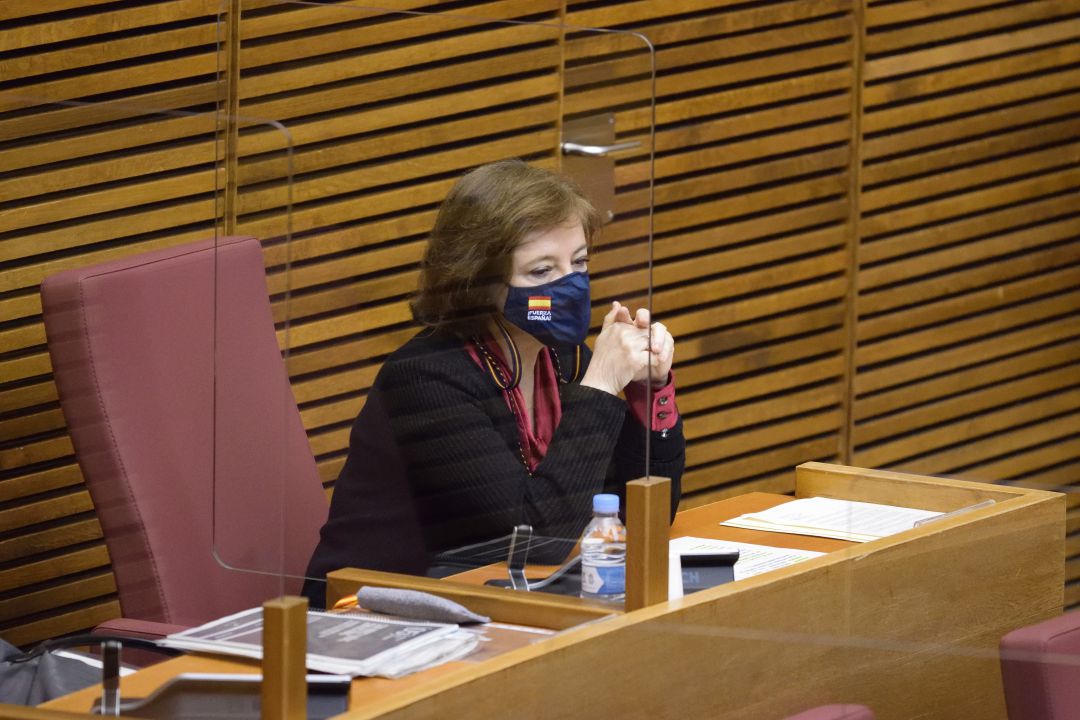 María de los Ángeles Criado, parlamentaria de Vox Comunidad Valenciana en Les Corts en su intervención María de los Ángeles Criado, parlamentaria de Vox Comunidad Valenciana en Les Corts en su intervención