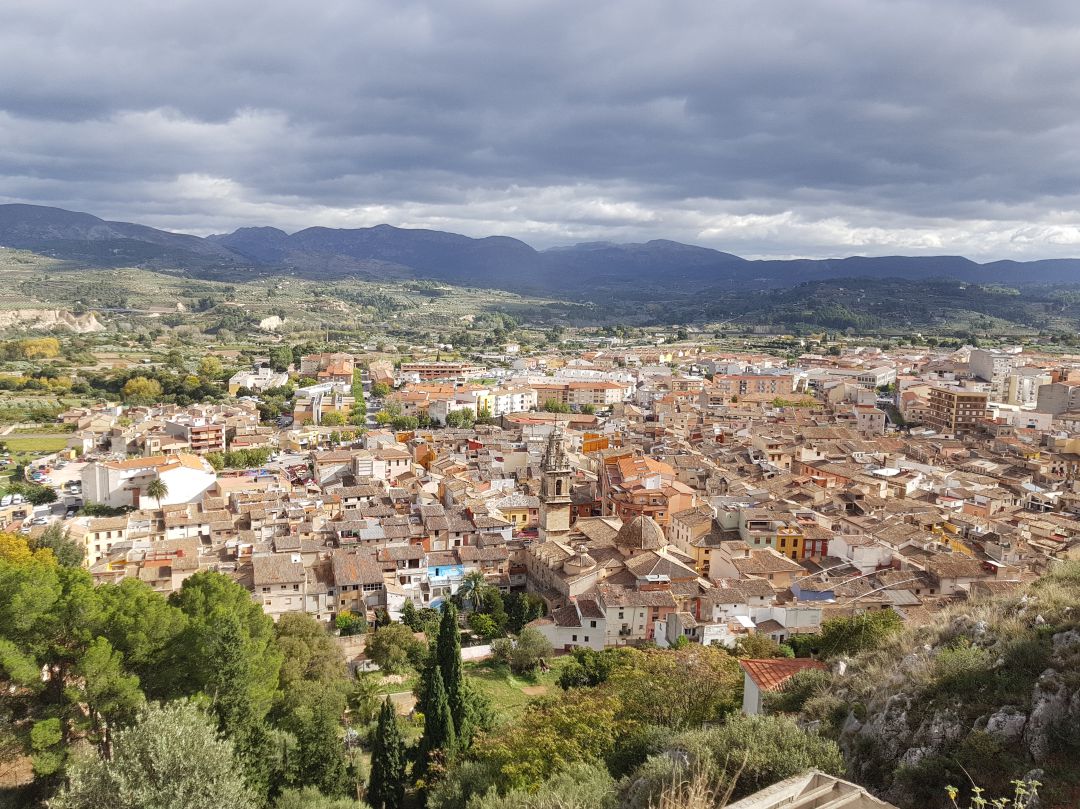 Sanitat informa de un nuevo caso positivo en Cocentaina en la última actualización de datos. Sanitat informa de un nuevo caso positivo en Cocentaina en la última actualización de datos.