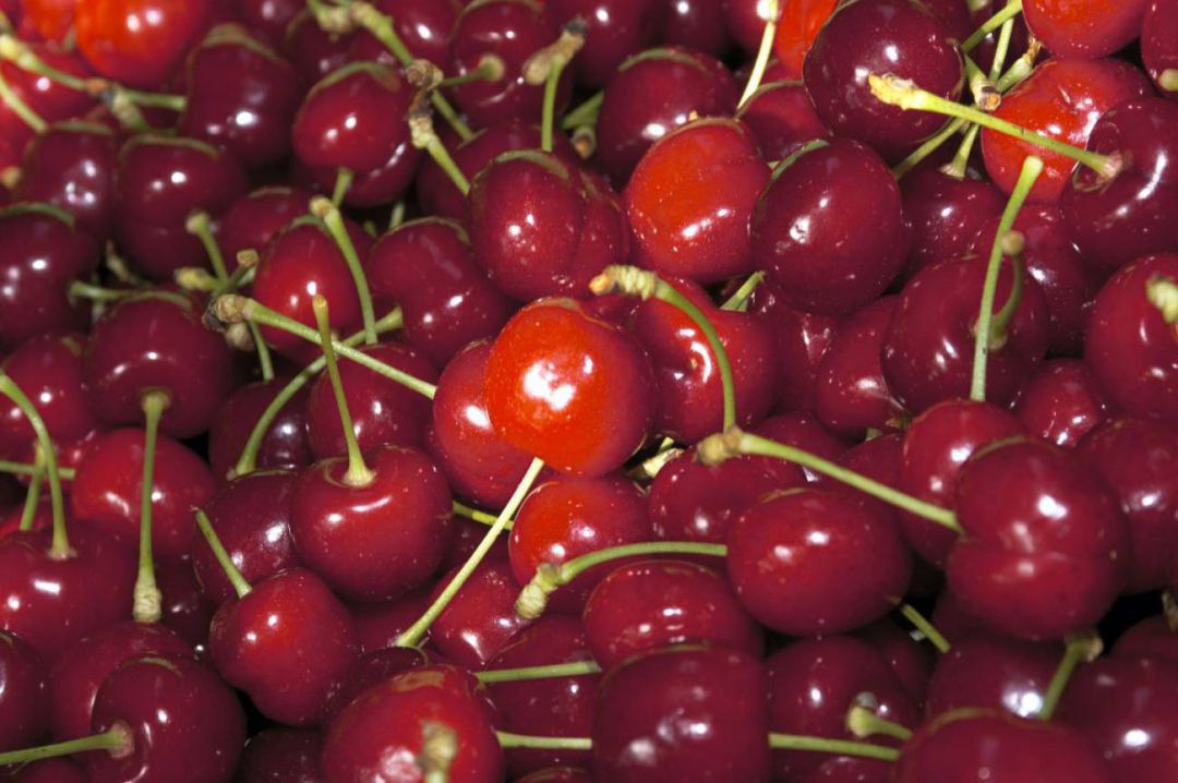 Cerezas del Valle del Jerte Cerezas del Valle del Jerte
