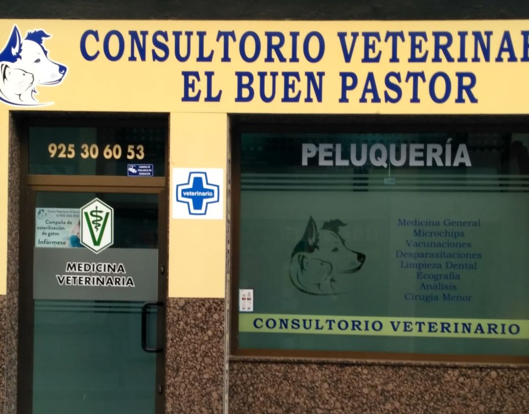 Consultoría animal talaverana Consultoría animal talaverana