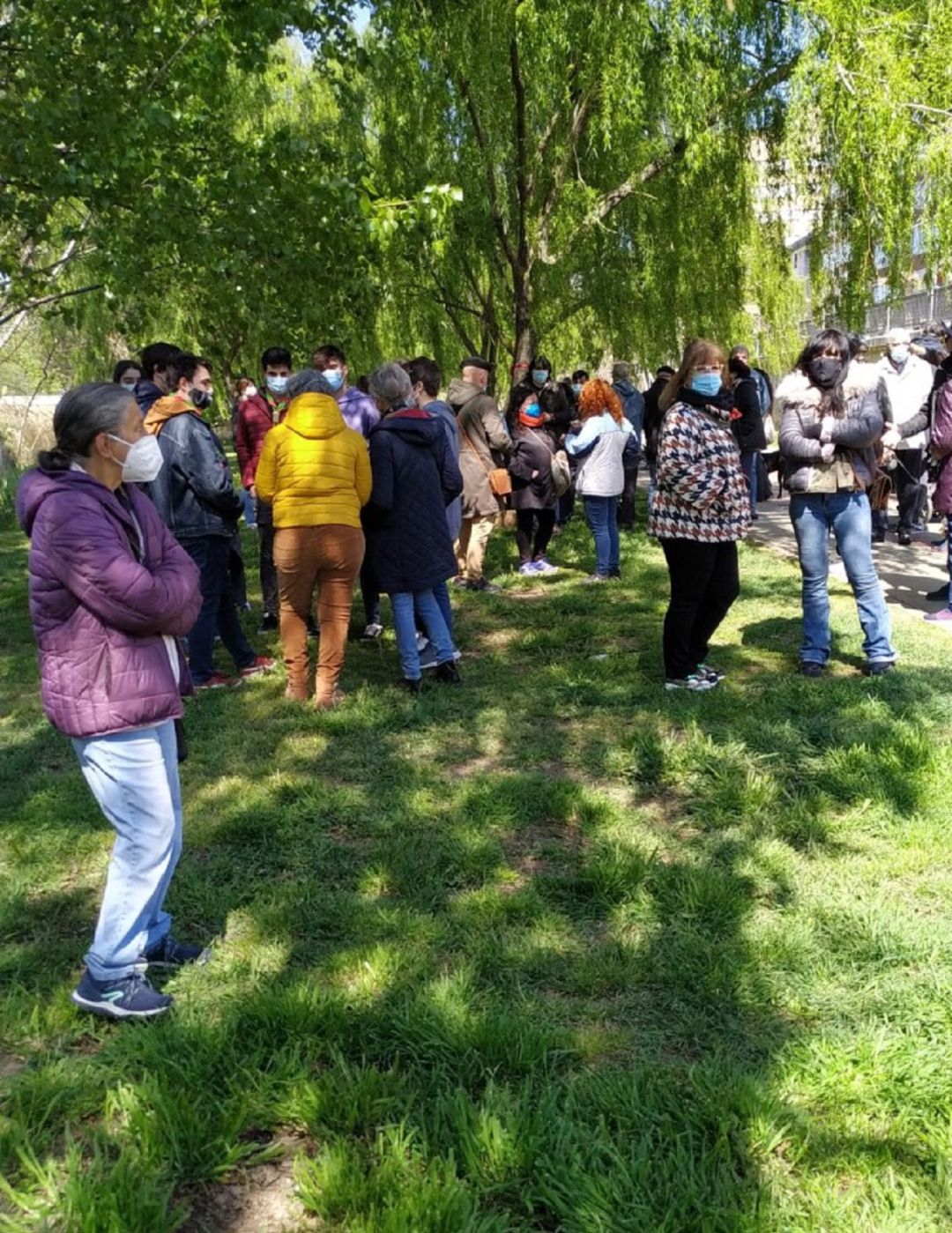 Concentración en Palencia en defensa del arbolado Concentración en Palencia en defensa del arbolado