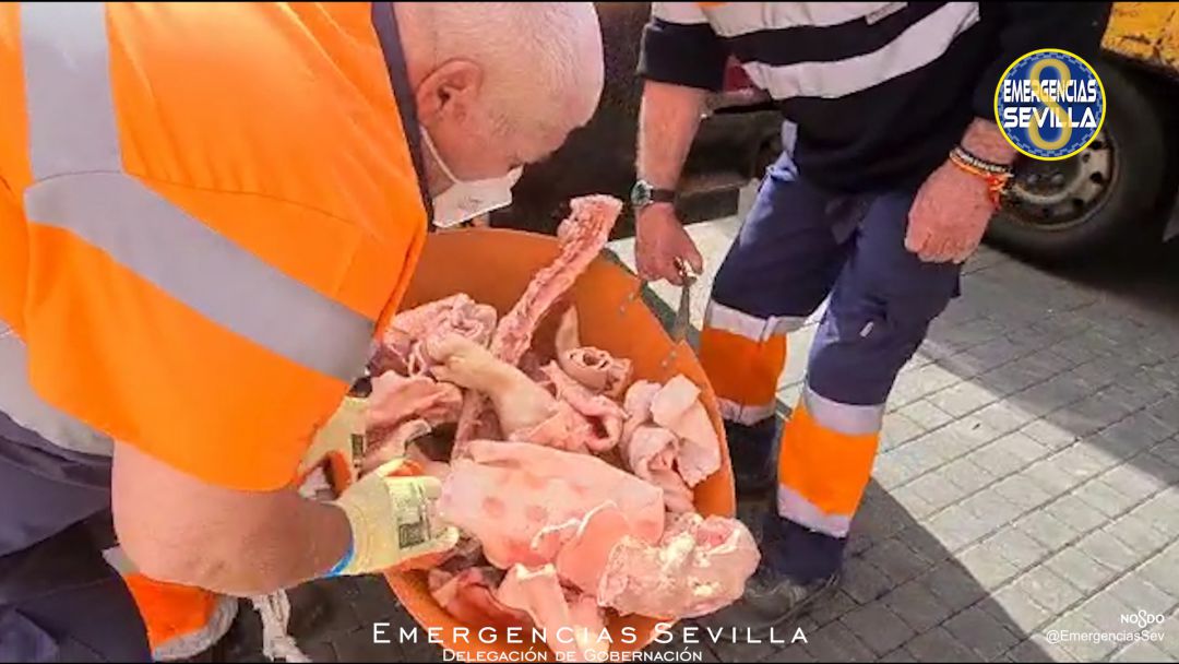 Los técnicos municipales intervienen la carne en mal estado Los técnicos municipales intervienen la carne en mal estado