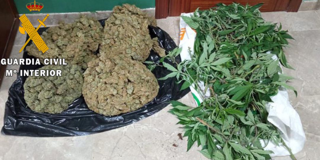 Alijo de marihuana aprehendido en Lopera. Alijo de marihuana aprehendido en Lopera.
