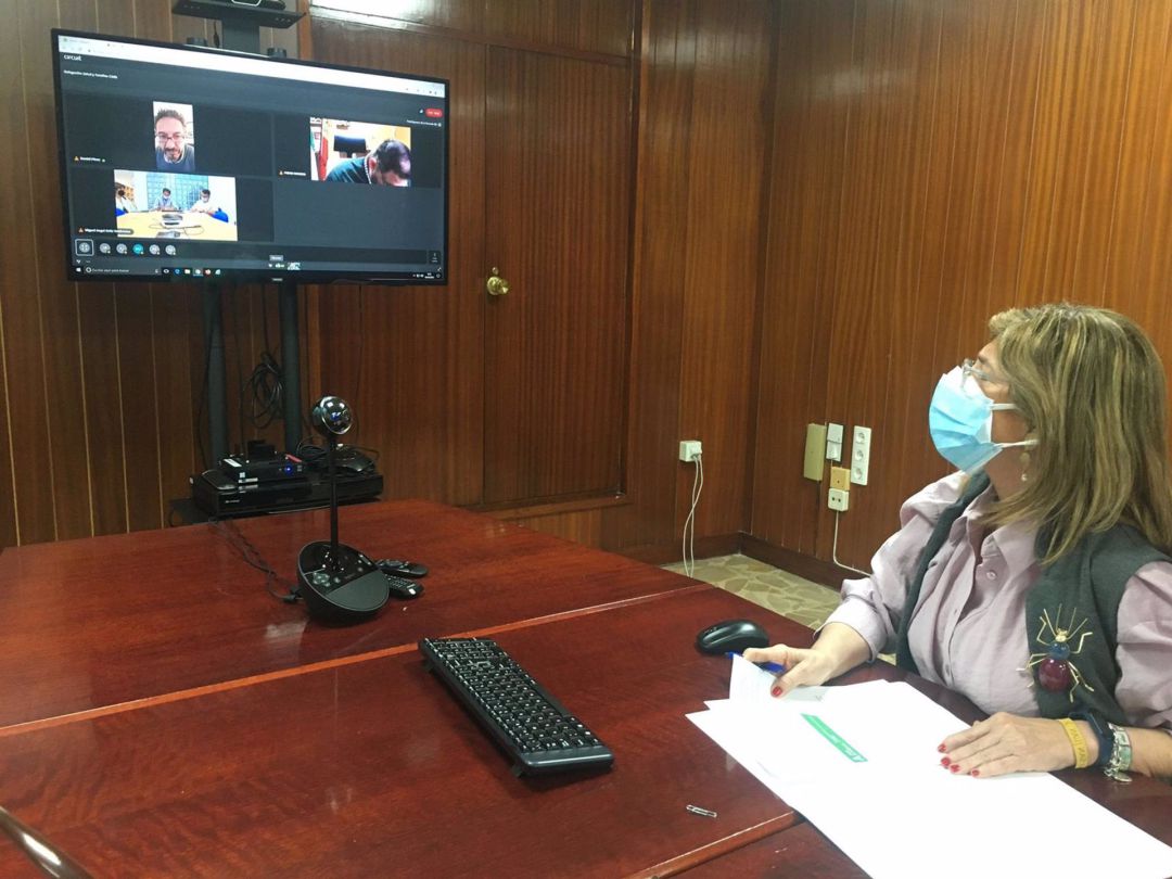 La delegada de Salud durante la reunión telemática con los alcaldes y alcaldesas de la Sierra La delegada de Salud durante la reunión telemática con los alcaldes y alcaldesas de la Sierra