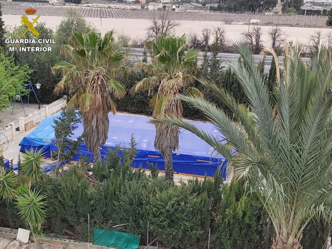 Piscina que escondía plantación marihuana en Novelda Piscina que escondía plantación marihuana en Novelda