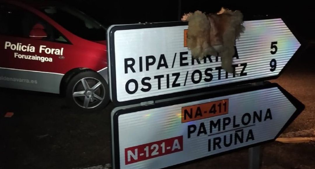 La Policía Foral pide colaboración para esclarecer la aparición de corderos degollados en la zona de Ultzama La Policía Foral pide colaboración para esclarecer la aparición de corderos degollados en la zona de Ultzama