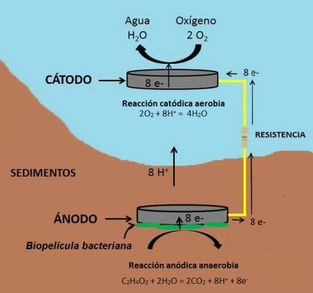 Figura 3. Esquema de una celda de combustible sedimentaria. Figura 3. Esquema de una celda de combustible sedimentaria.