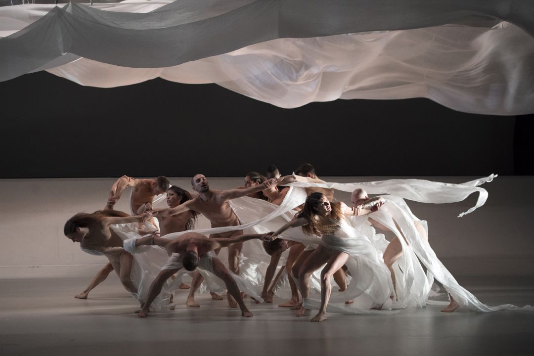 Compañía de Danza de Blanca Li Compañía de Danza de Blanca Li