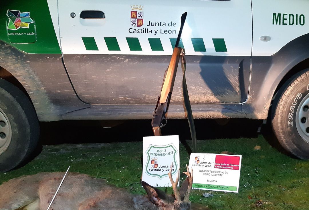 Denunciado un cazador por no colocar el precinto a un corzo abatido en Orejana Denunciado un cazador por no colocar el precinto a un corzo abatido en Orejana