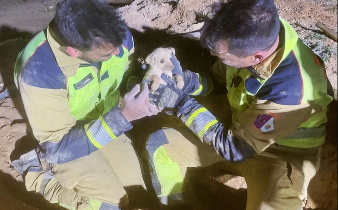 En el rescate participaron bomberos, voluntarios de ERA, y voluntarios de Hogar de Paz animales abandonados En el rescate participaron bomberos, voluntarios de ERA, y voluntarios de Hogar de Paz animales abandonados