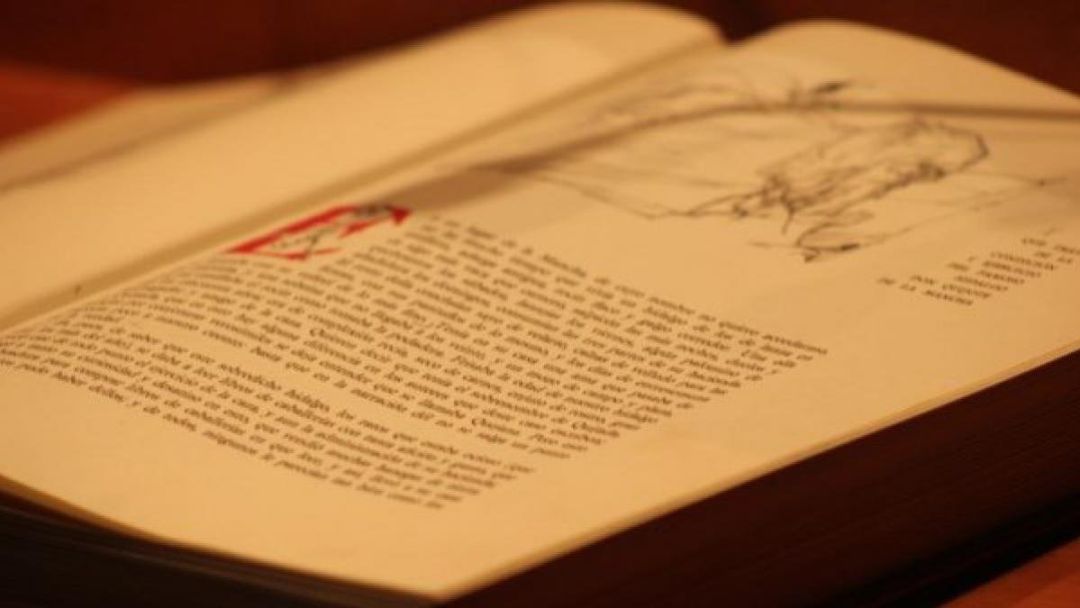 La Biblioteca Insular (Gran Canaria) se sumará a la edición virtual de la lectura continuada de 'El Quijote'
La Biblioteca Insular (Gran Canaria) se sumará a la edición virtual de la lectura continuada de 'El Quijote'