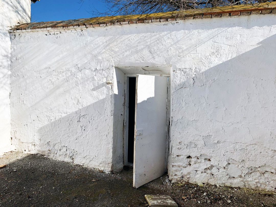 La exhumación tendrá lugar en la fosa extramuros del cementerio de Almagro La exhumación tendrá lugar en la fosa extramuros del cementerio de Almagro