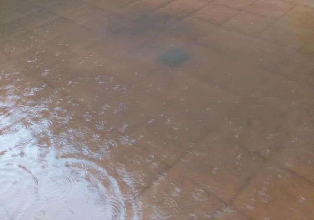 Estado del patio de una de las viviendas afectadas Estado del patio de una de las viviendas afectadas