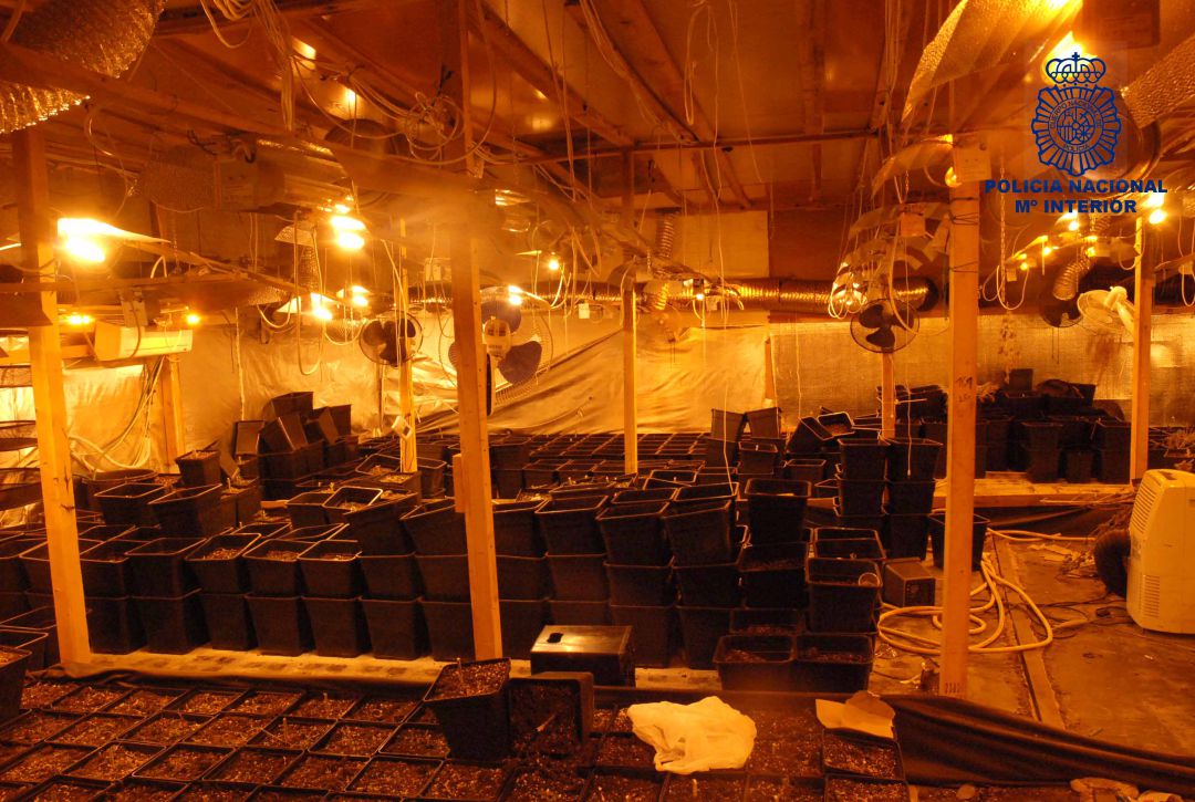 La nave estaba acondicionada para el cultivo intensivo La nave estaba acondicionada para el cultivo intensivo