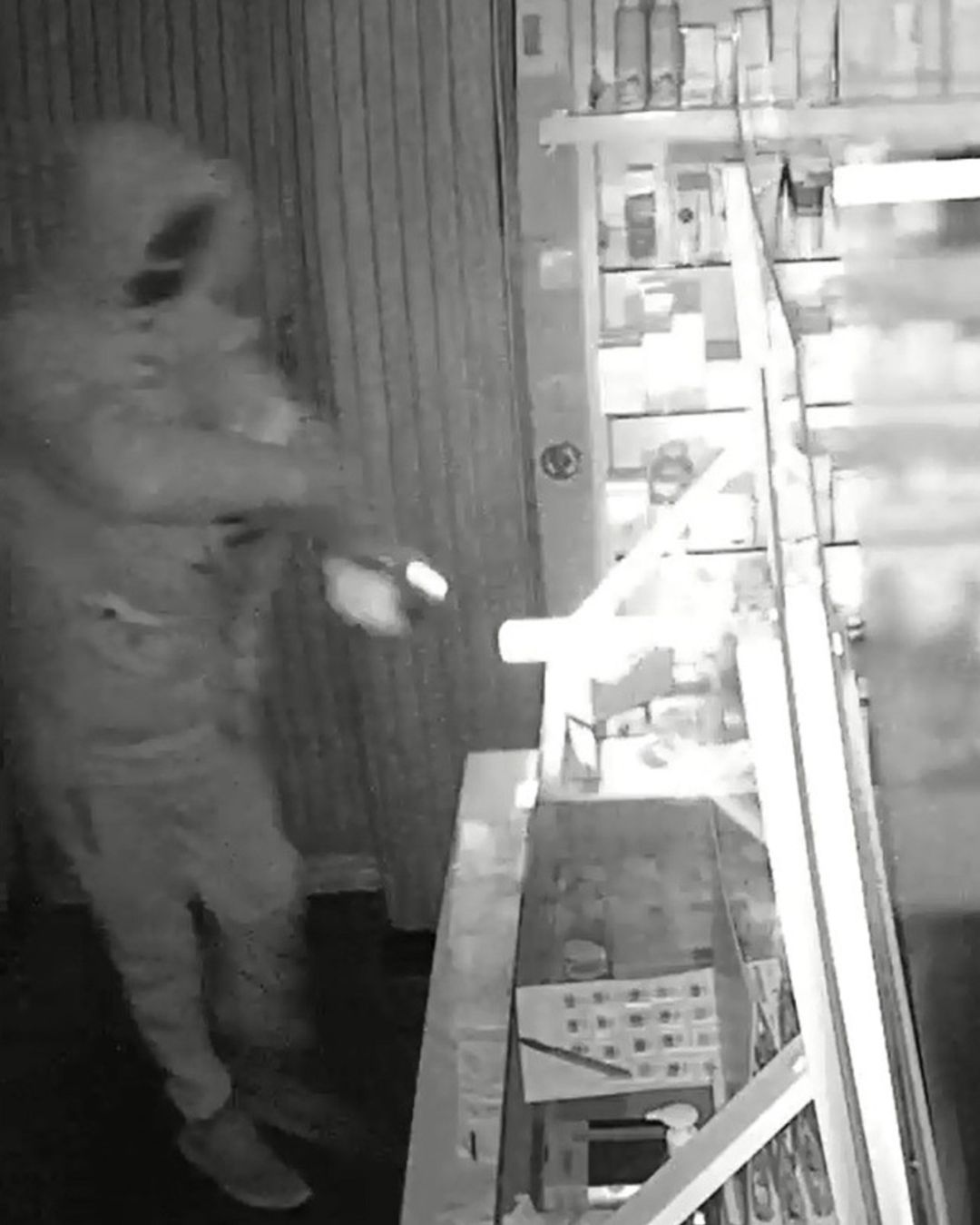 Fotograma captado por una cámara de seguridad Fotograma captado por una cámara de seguridad