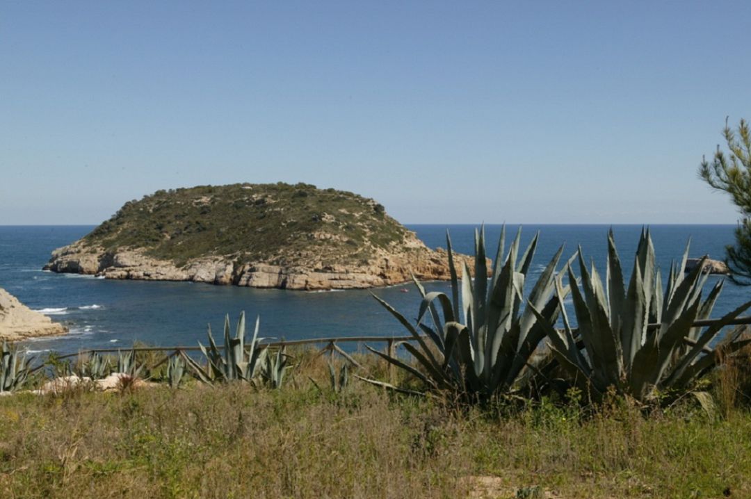 Isla del Portitxol. Isla del Portitxol.