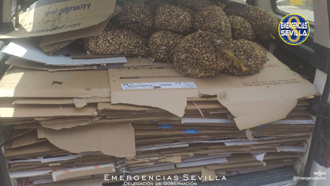 Algunos de los sacos de caracoles arrojados a la basura Algunos de los sacos de caracoles arrojados a la basura