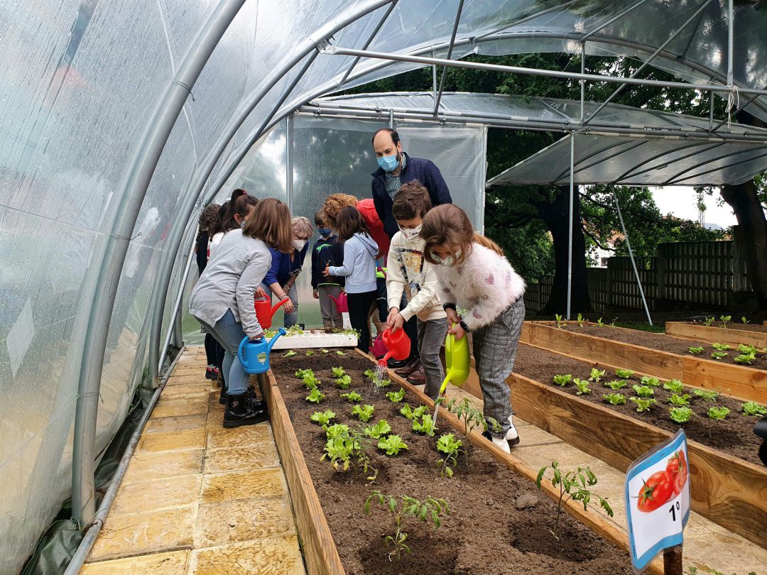 Huerto ecológico en el colegio Pintor Escudero Espronceda de Torrelavega
Huerto ecológico en el colegio Pintor Escudero Espronceda de Torrelavega