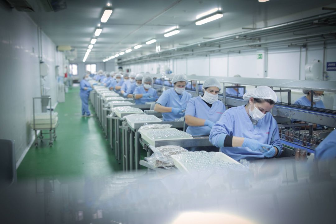 Trabajadoras de una empresa conservera de pescados Trabajadoras de una empresa conservera de pescados
