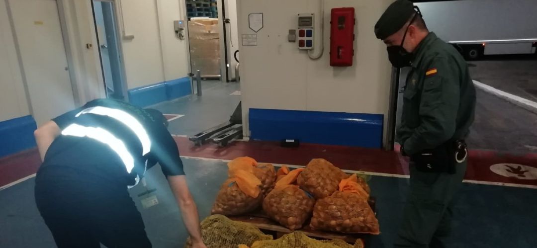 Pescado y marisco intervenido por la Guardia Civil. Pescado y marisco intervenido por la Guardia Civil.