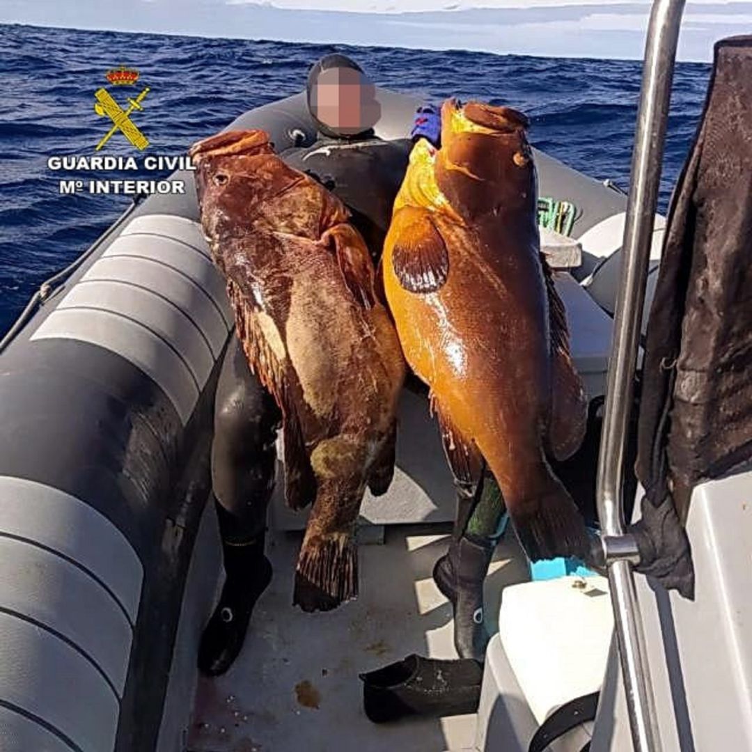 Parte del pescado intervenido. Parte del pescado intervenido.