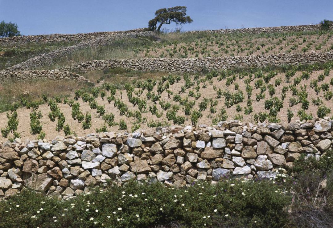 Muro piedra en seco Muro piedra en seco