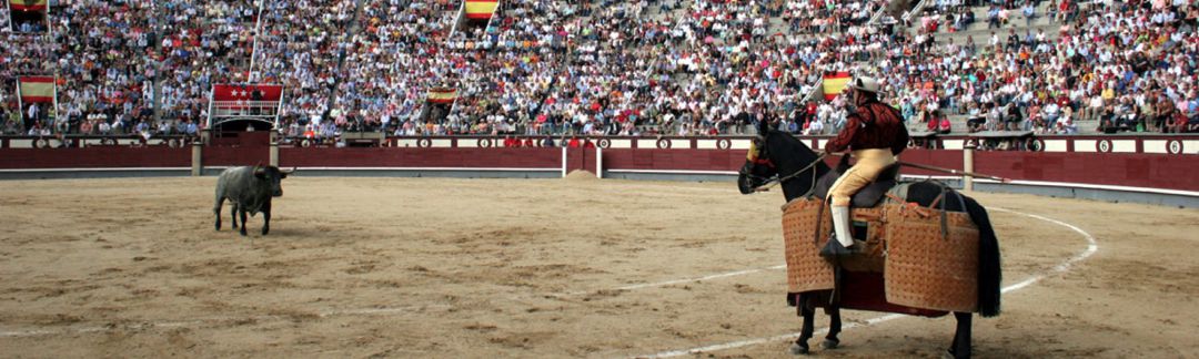 Medina se prepara para acoger jornadas del Circuito de Novilladas de Castilla y León Medina se prepara para acoger jornadas del Circuito de Novilladas de Castilla y León