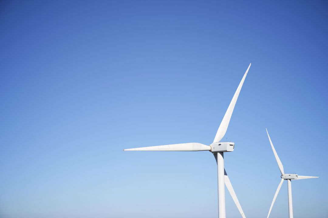 Ecologistas en Acción cree que algunos de estos macroproyectos favorecen la despoblación al impedir, en muchos casos, las prácticas tradicionales de estas zonas Ecologistas en Acción cree que algunos de estos macroproyectos favorecen la despoblación al impedir, en muchos casos, las prácticas tradicionales de estas zonas