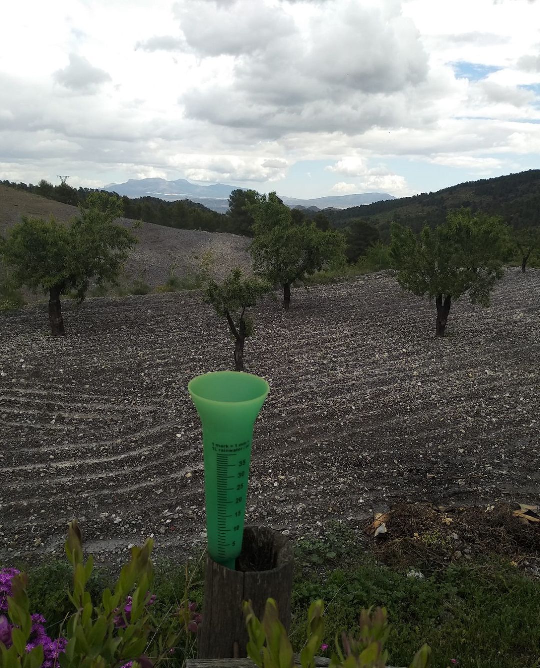Las lluvias en Lorca. Las lluvias en Lorca.
