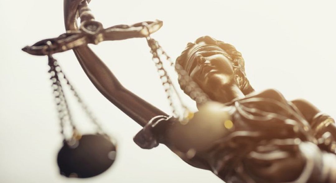 Procesos judiciales Procesos judiciales