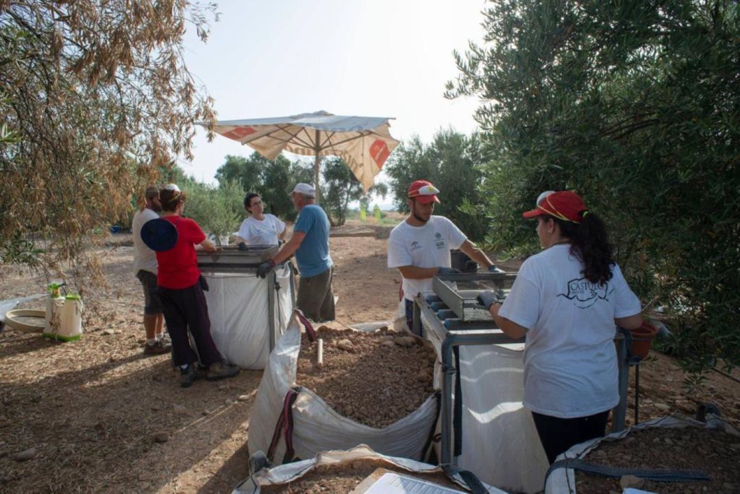 Campo de Voluntariado del IAJ en Cástulo. Campo de Voluntariado del IAJ en Cástulo.