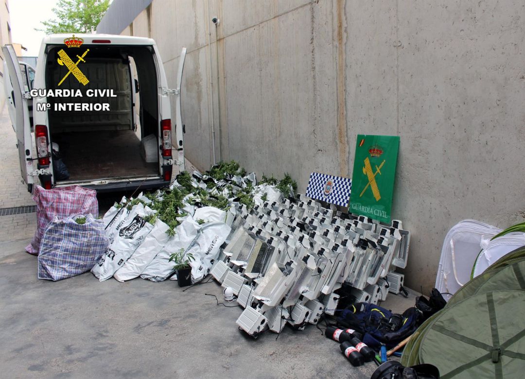 Desmantelan un invernadero con 800 plantas de marihuana en Puerto Lumbreras y detienen a su responsable. Desmantelan un invernadero con 800 plantas de marihuana en Puerto Lumbreras y detienen a su responsable.