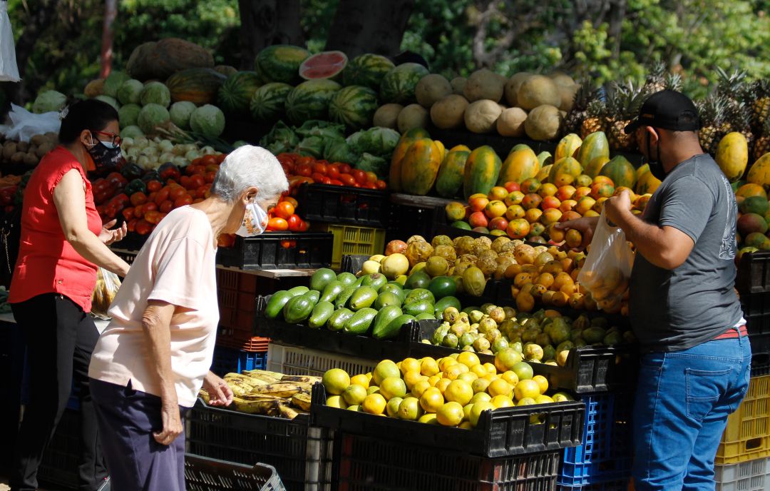 Las fruterías cuentan con nuevas frutas y verduras de temporada. Las fruterías cuentan con nuevas frutas y verduras de temporada.
