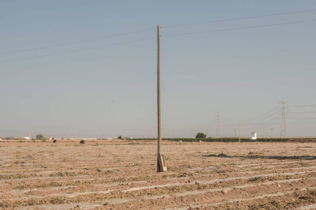 Archivadas las diligencias abiertas contra 13 empresas agrícolas investigadas en el "Caso Topillo" Archivadas las diligencias abiertas contra 13 empresas agrícolas investigadas en el "Caso Topillo"