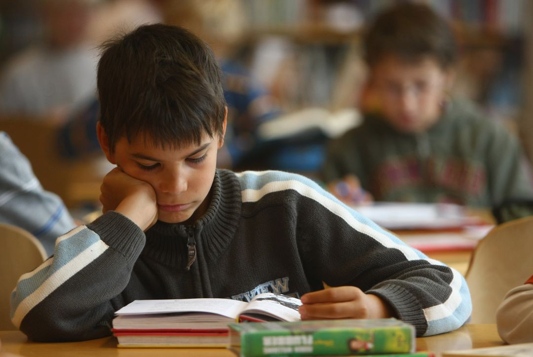 Estudiantes de 4º de primaria. Estudiantes de 4º de primaria.