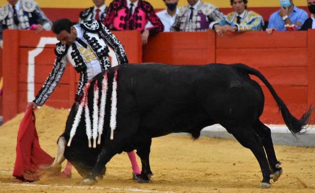 Enrique Ponce lidia un toro Enrique Ponce lidia un toro