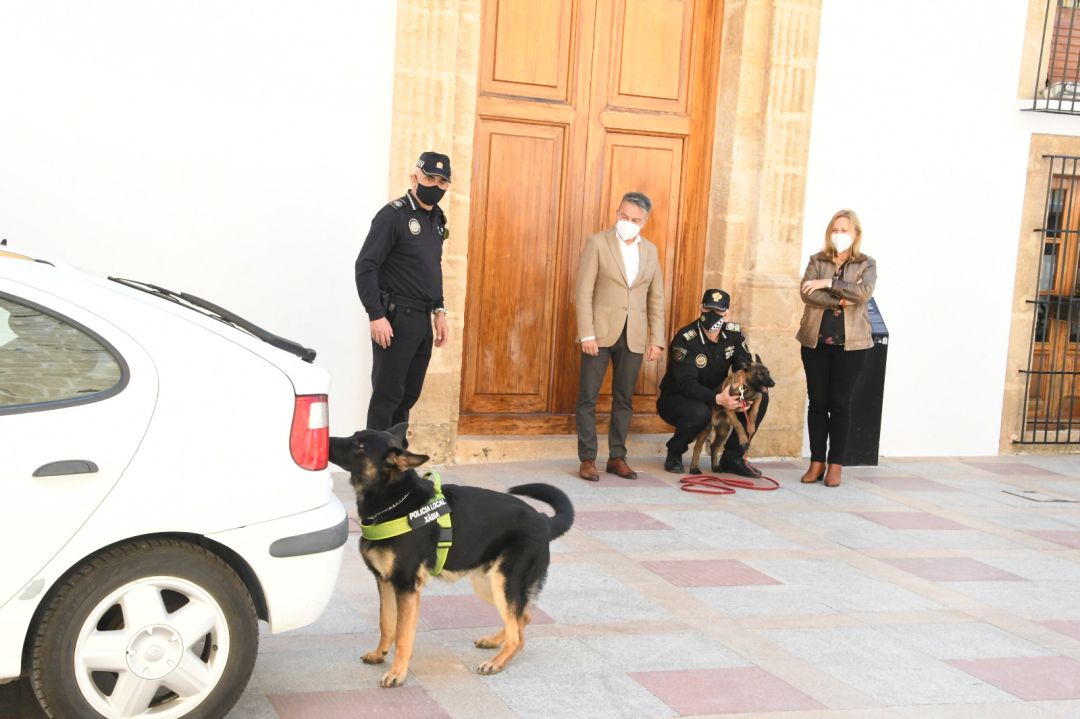 Unidad canina. Unidad canina.