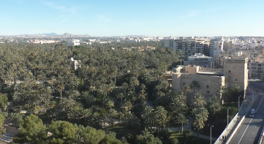 Palmeral Histórico declarado patrimonio de la Humanidad Palmeral Histórico declarado patrimonio de la Humanidad