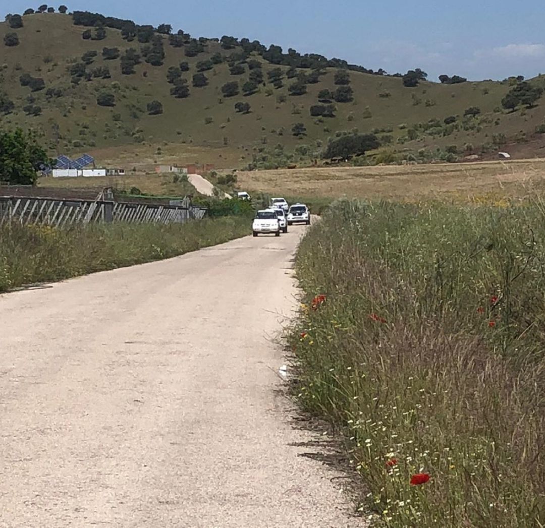 Patrullas que forman parte del dispositivo que investiga la muerte del lince ibérico en Linares Patrullas que forman parte del dispositivo que investiga la muerte del lince ibérico en Linares