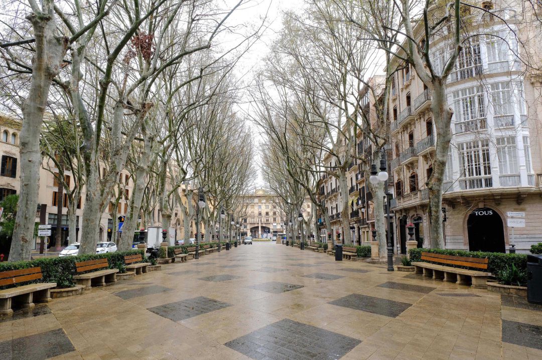 El céntrico Paseo del Borne vacío durante el primer día laborable desde del estado de alarma decretado por el coronavirus en el país, en Palma de Mallorca, a 16 de marzo de 2020. El céntrico Paseo del Borne vacío durante el primer día laborable desde del estado de alarma decretado por el coronavirus en el país, en Palma de Mallorca, a 16 de marzo de 2020.