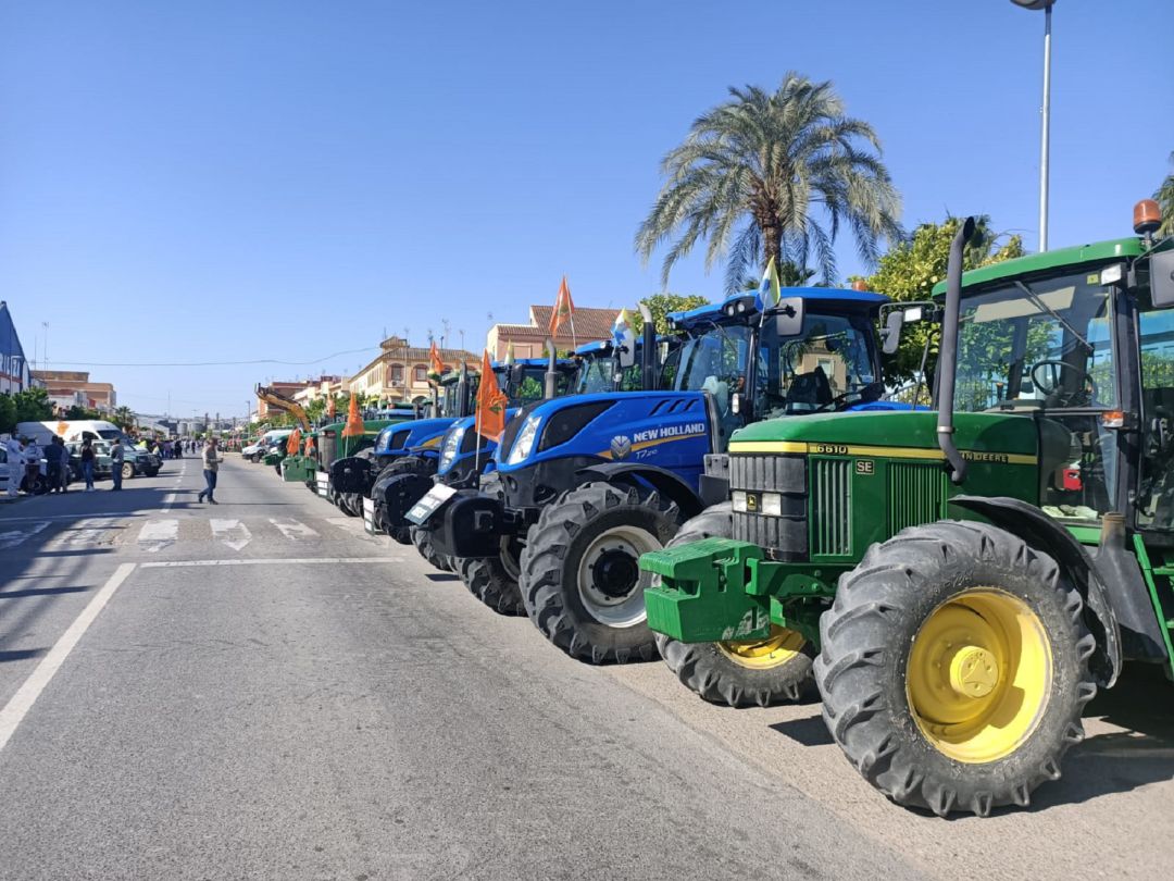 Tractorada en Isla Mayor. Tractorada en Isla Mayor.