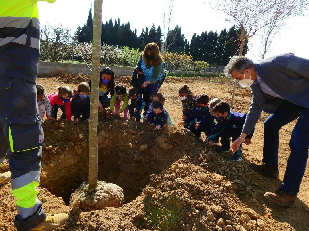 Decenas de ayuntamientos de toda España han participado en esta campaña Decenas de ayuntamientos de toda España han participado en esta campaña