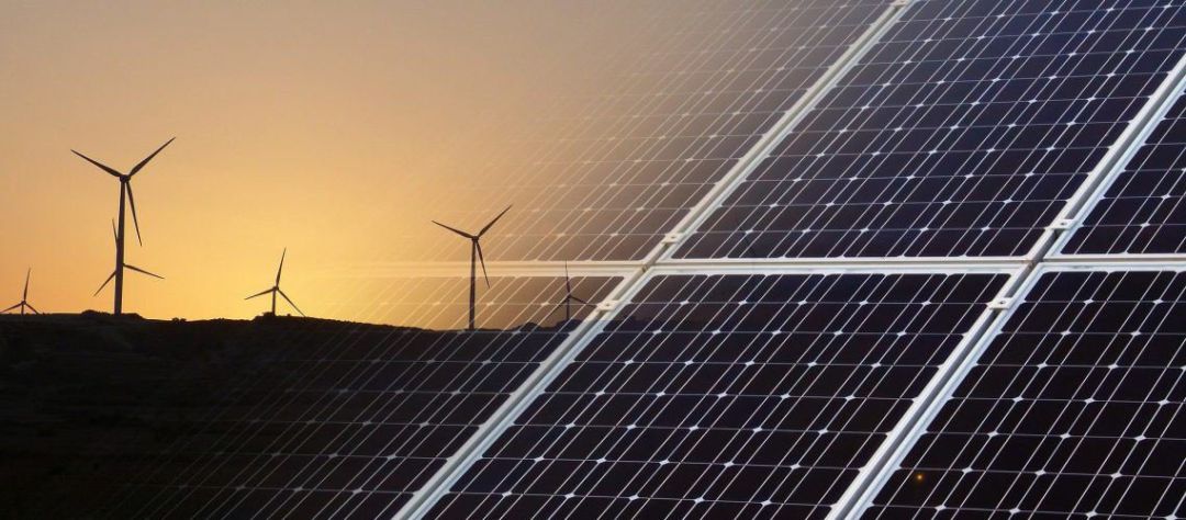 El desarrollo fotovoltaico del Manzanal, "otra animalada más" para las asociaciones conservacionistas El desarrollo fotovoltaico del Manzanal, "otra animalada más" para las asociaciones conservacionistas