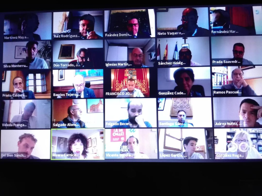 Foto de la sesión del pleno telematico de la Diputación Foto de la sesión del pleno telematico de la Diputación