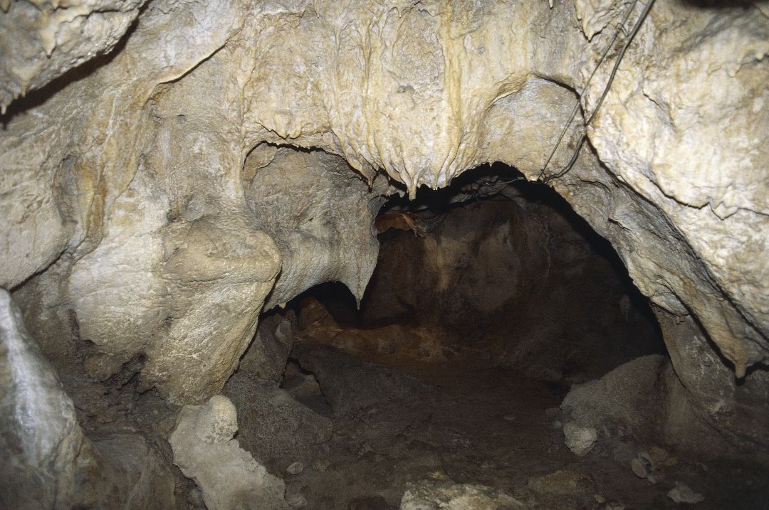 La cueva de Guattari, del periodo paleolítico, guarda tesoros arqueológicos a solo cien kilómetros de Roma. La cueva de Guattari, del periodo paleolítico, guarda tesoros arqueológicos a solo cien kilómetros de Roma.