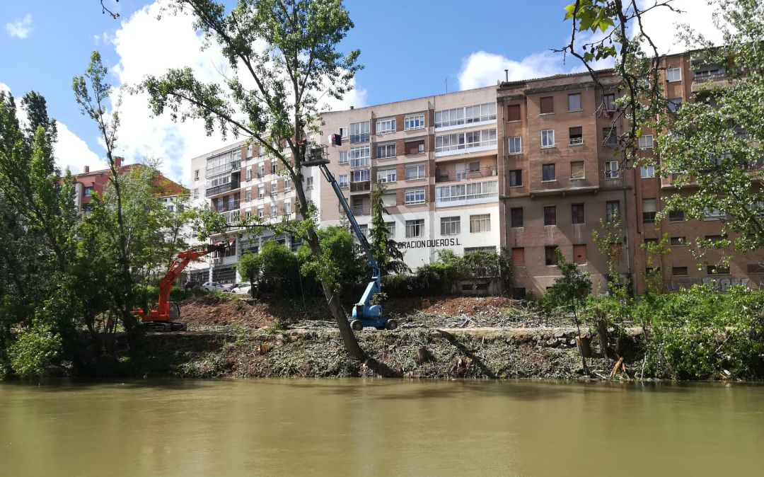 Las actuaciones están dejando un espacio notorio en una de las riberas del Duero Las actuaciones están dejando un espacio notorio en una de las riberas del Duero