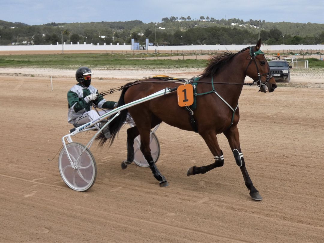 Un Atout Matre, vencedor en la carrera estalar Un Atout Matre, vencedor en la carrera estalar