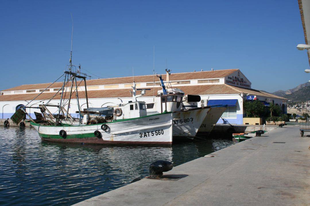 Puerto pesquero de Calp Puerto pesquero de Calp